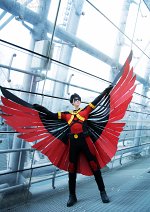 Cosplay-Cover: Red Robin (Tim Drake)