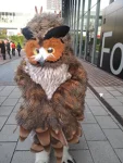 Foto des Kostüms