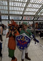 Cosplay-Cover: Link