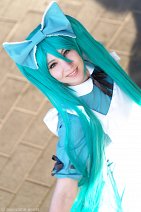 Cosplay-Cover: Miku Hatsune [Alice in Musicland]