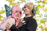 Top-3-Foto - von Sai1