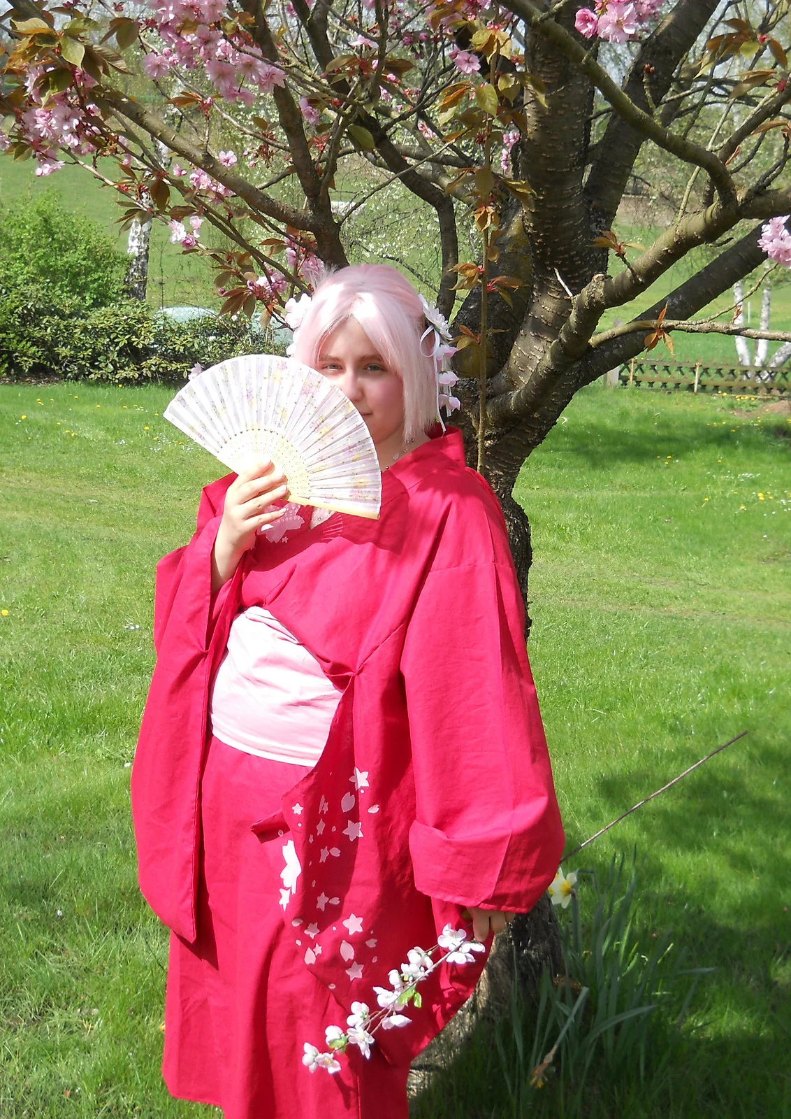 Cosplay-Cover: Kimono