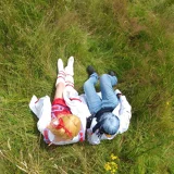 Top-3-Foto - von rea_seraph