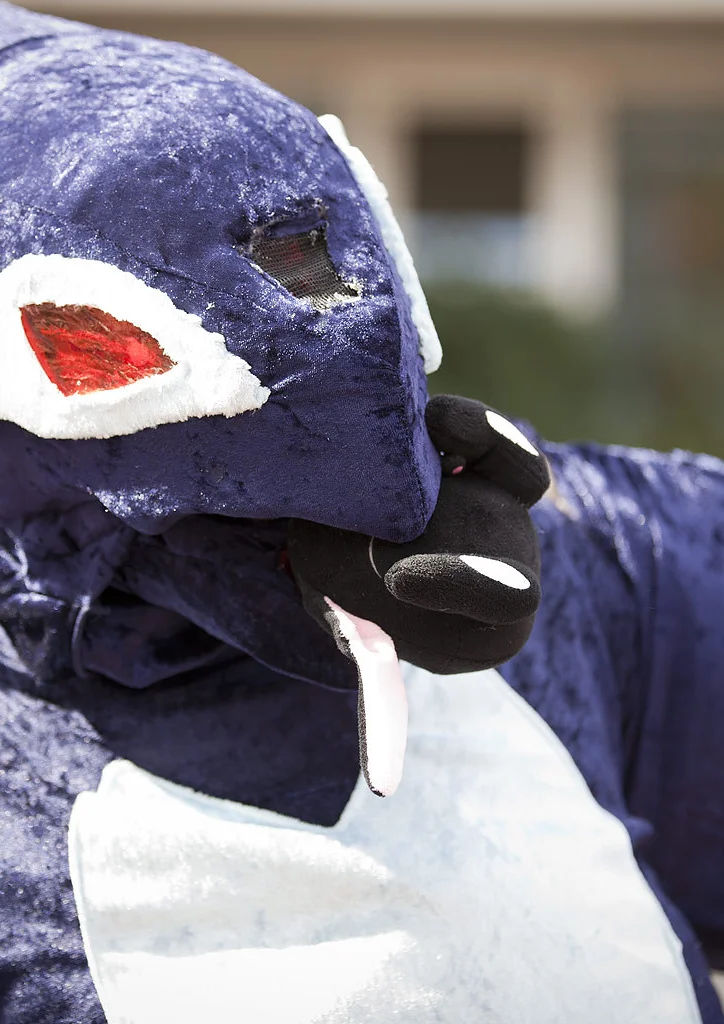 Cosplay-Cover: Crypto Lugia