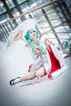 Cosplay-Cover: Snow Miku 2013