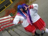 Top-3-Foto - von Zacksy