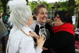 Top-3-Foto - von Zacksy