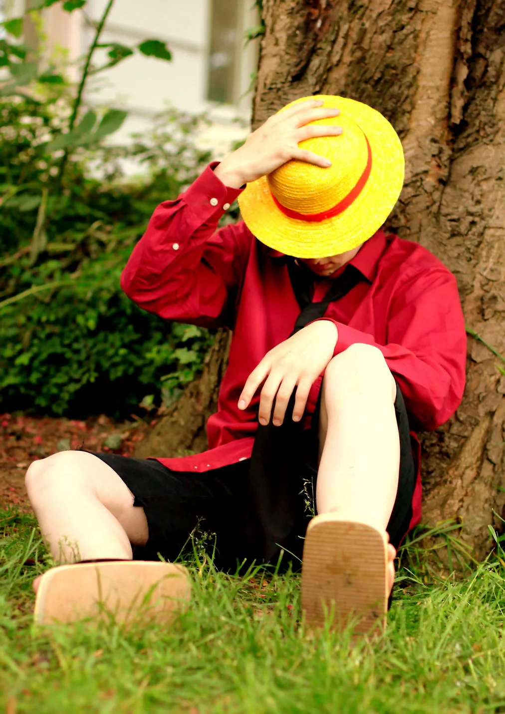 Cosplay-Cover: Monkey D. Luffy [Elegant Figure]