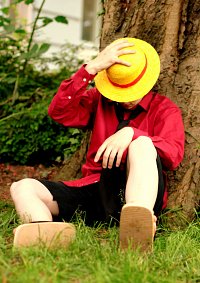 Cosplay-Cover: Monkey D. Luffy [Elegant Figure]