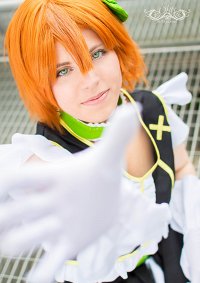 Cosplay-Cover: Rin Hoshizora [No Brand Girls]