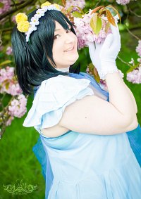 Cosplay-Cover: ☆¸.¤*° Nico Yazawa °*¤.¸☆ [Yume No Tobira]