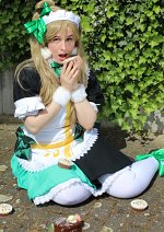 Cosplay-Cover: Minami Kotori [Mogyutto "love" de Sekkinchu!]