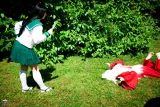 Top-3-Foto - von Red-lex