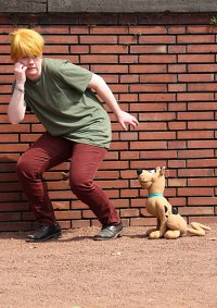 Cosplay-Cover: Shaggy (Norville Rogers)