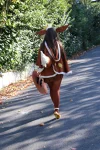 Foto des Kostüms