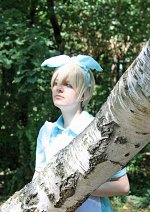 Cosplay-Cover: Alaude 「アラウディ 」 ~ Wonderland