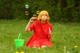 Top-3-Foto - von Daisu