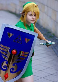 Cosplay-Cover: Link [A Link to the Past / Link's Awakening]
