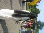 Foto des Kostüms