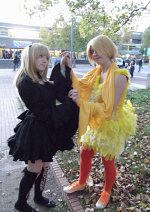 Cosplay-Cover: Chocobo (gelb)