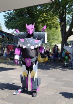 Cosplay-Cover: Tarn