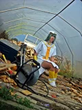 Top-3-Foto - von Hielo
