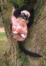 Cosplay-Cover: Euphemia Li Britannia (Milly Ashford Cat Outfit)