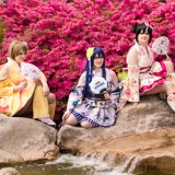Top-3-Foto - von Inulein
