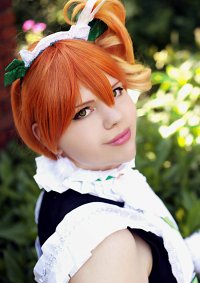 Cosplay-Cover: Rin Hoshizora [Mogyutto "love" de Sekkin Chuu!]