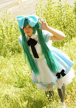 Cosplay-Cover: Hatsune Miku [Alice in Musicland]