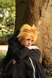 Top-3-Foto - von Little_Kitty
