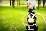 Top-3-Foto - von Little_Kitty