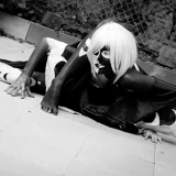 Top-3-Foto - von Little_Kitty