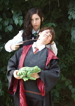 Cosplay-Cover: Neville Longbottom