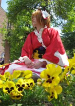 Cosplay-Cover: Sakura (roter Kimono)