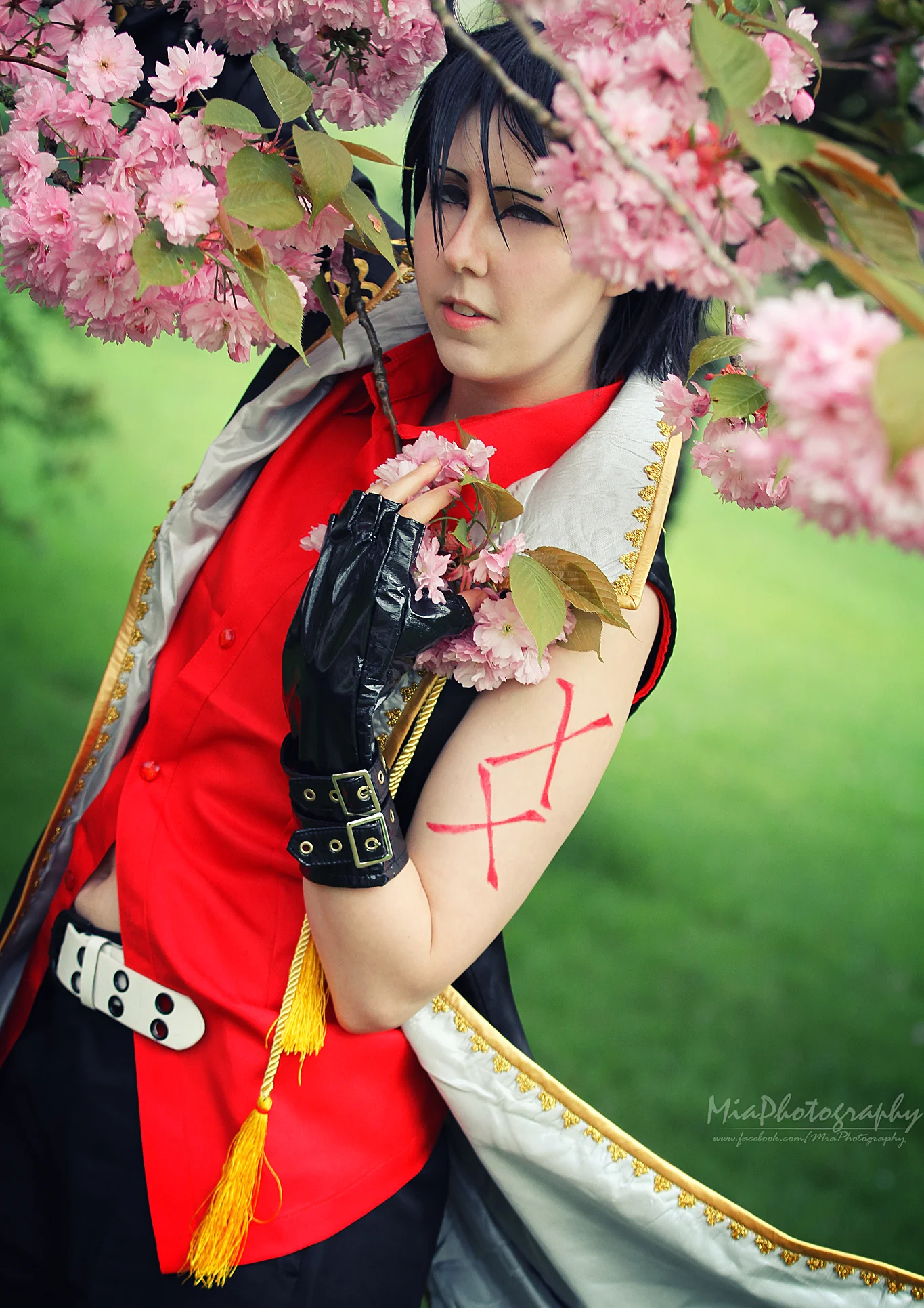 Cosplay-Cover: Luca Crosszeria [Artbook]