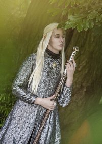 Cosplay-Cover: Thranduil - King of the Woodland