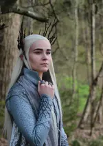 Cosplay-Cover: Thranduil