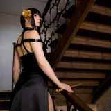 Top-3-Foto - von Layla