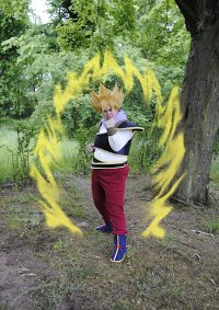 Cosplay-Cover: Son-Goku (SSJ) (Yardrat)