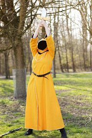 Cosplay-Cover: Magicka - Orange Wizard