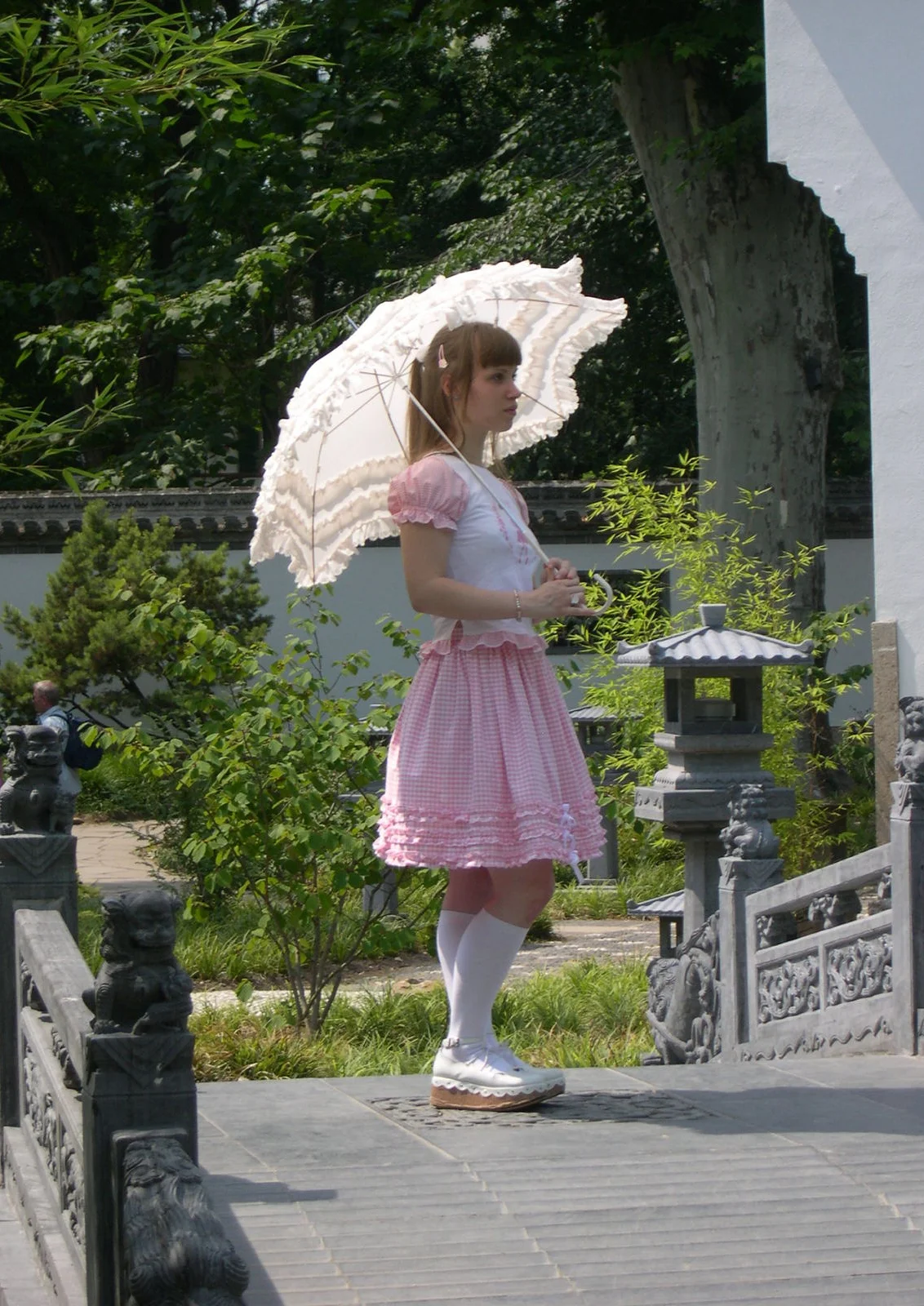 Cosplay-Cover: Rosa DS-Werbetafel