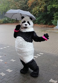 Cosplay-Cover: Panda