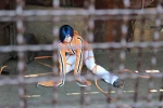 Cosplay-Cover: Akito Wanijima [basic]