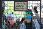 Foto des Kostüms