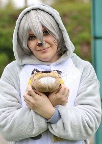 Cosplay-Cover: Totoro