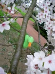 Foto des Kostüms