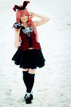 Cosplay-Cover: Nekota Anzu [Clamp Fes 2012]