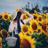 Top-3-Foto - von acorea