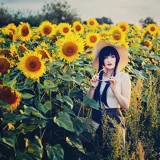 Top-3-Foto - von acorea